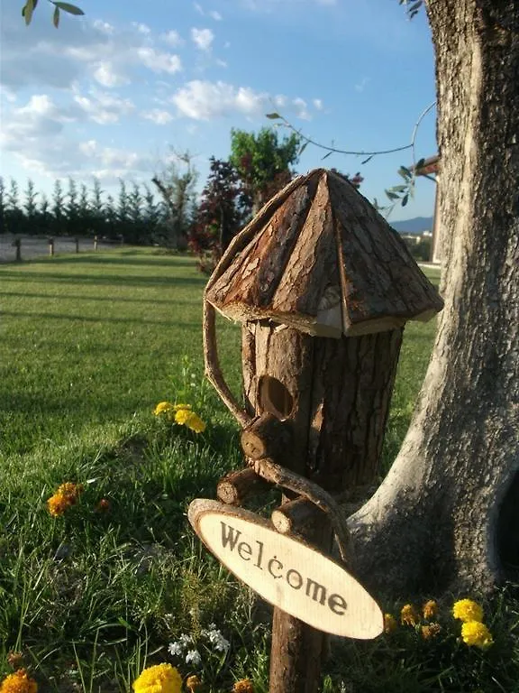 Agriturismo Anna Caterina Hotel Castelnuovo del Garda Farm stay